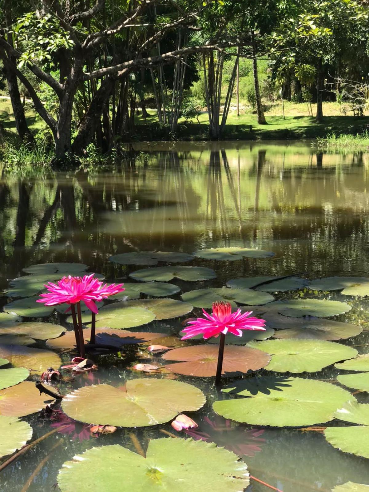 Canto de Roca Turismo e Lazer Mimoso do Sul Exterior foto