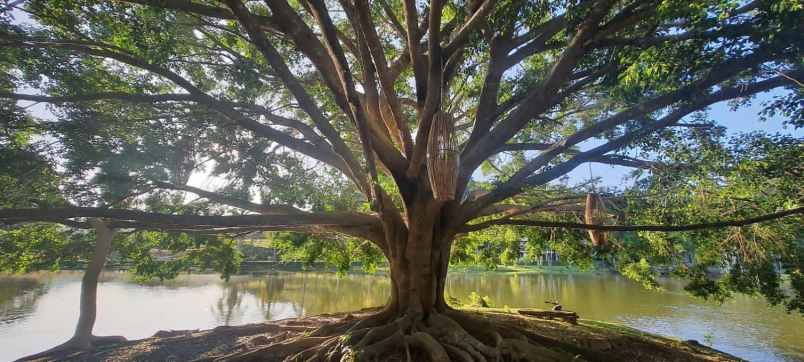 Canto de Roca Turismo e Lazer Mimoso do Sul Exterior foto
